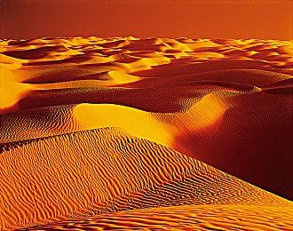 任天堂大乱斗制作人樱井政博发视频传授护眼经验